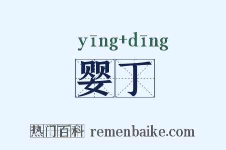 婴丁是什么意思的图片